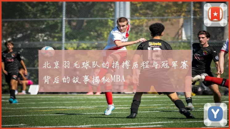 北京羽毛球队的拼搏历程与冠军赛背后的故事揭秘MBA