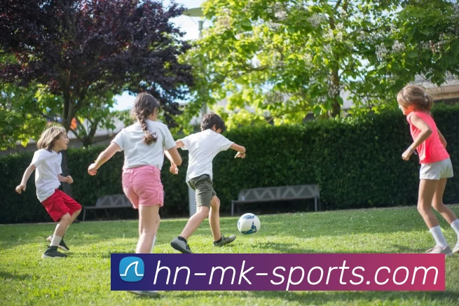 mk体育平台发展历程