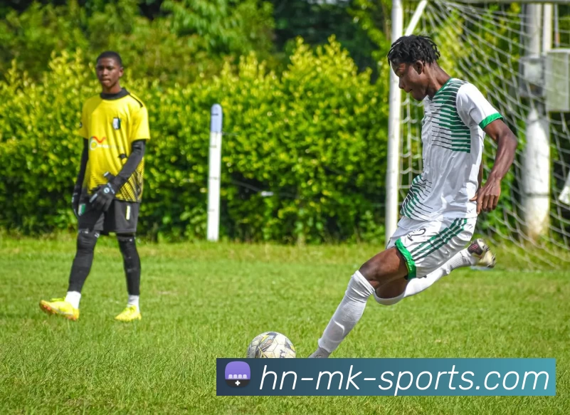 mk体育平台服务体系